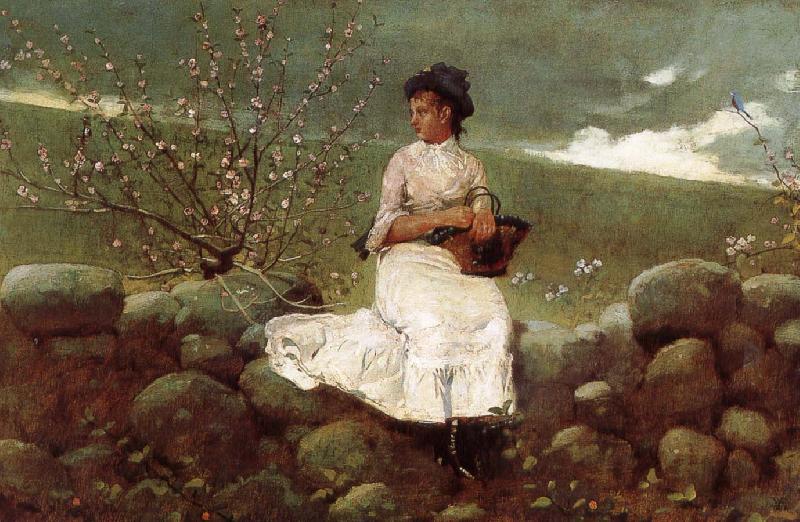 Winslow Homer Peach bloom China oil painting art